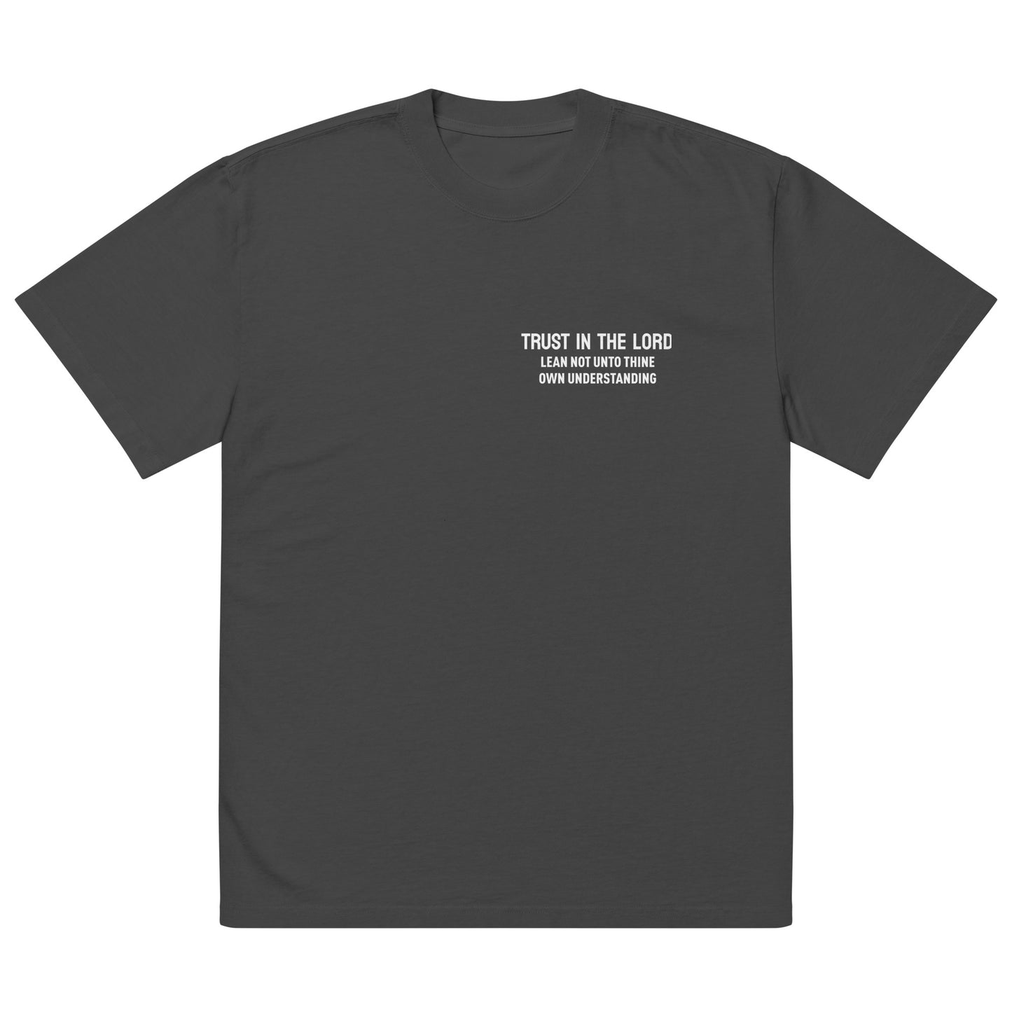 Trust in the Lord Oversized faded t-shirt