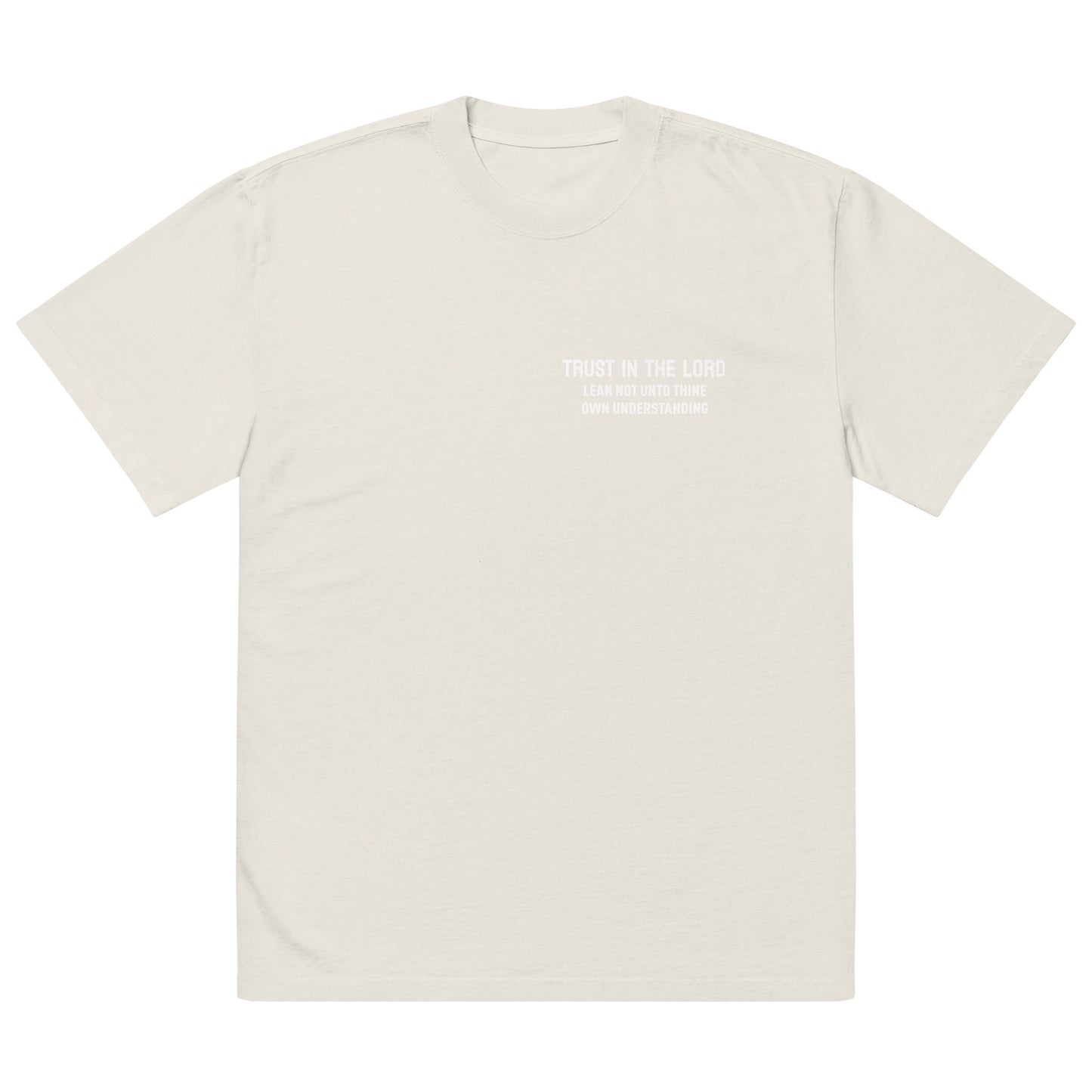Trust in the Lord Oversized faded t-shirt