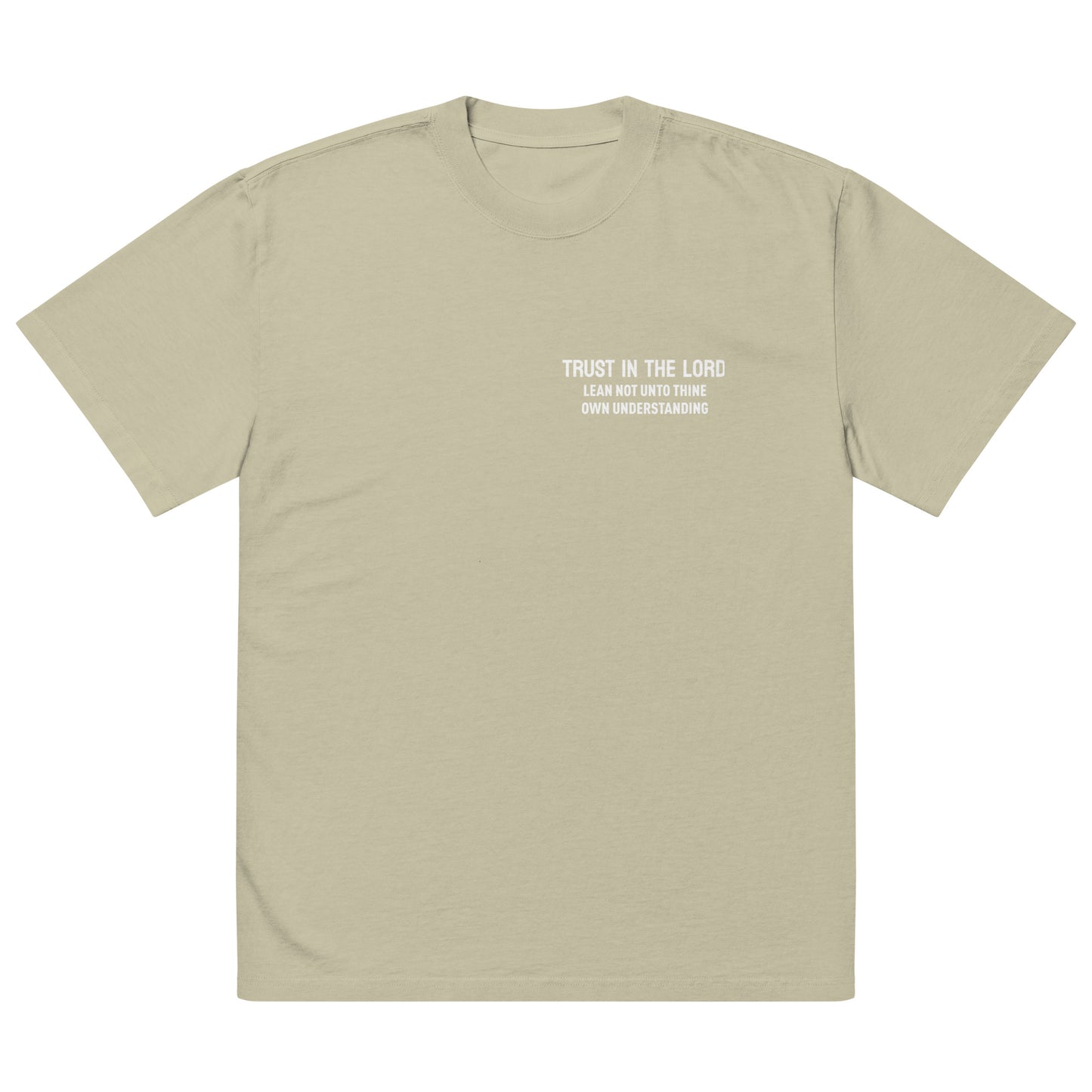 Trust in the Lord Oversized faded t-shirt