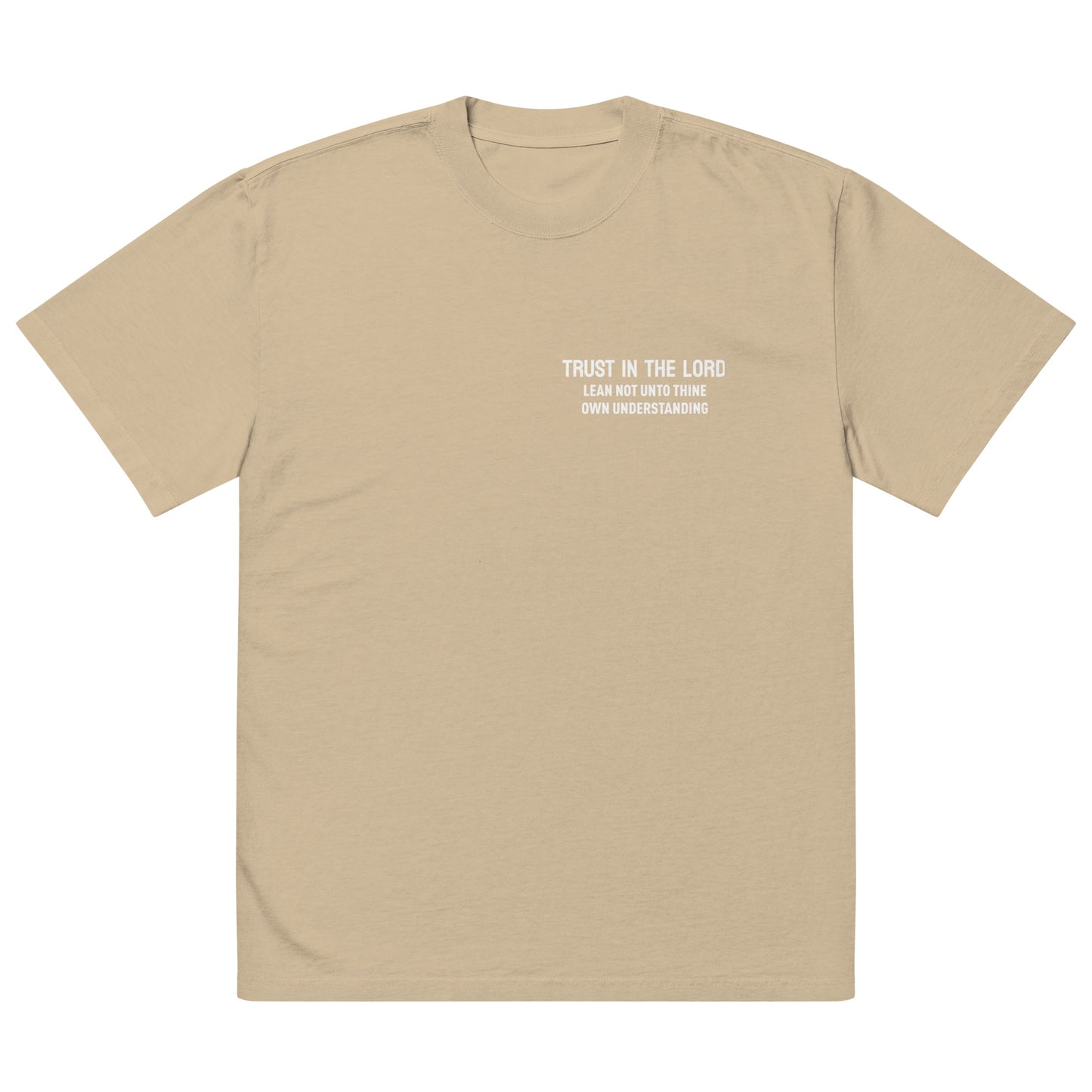 Trust in the Lord Oversized faded t-shirt